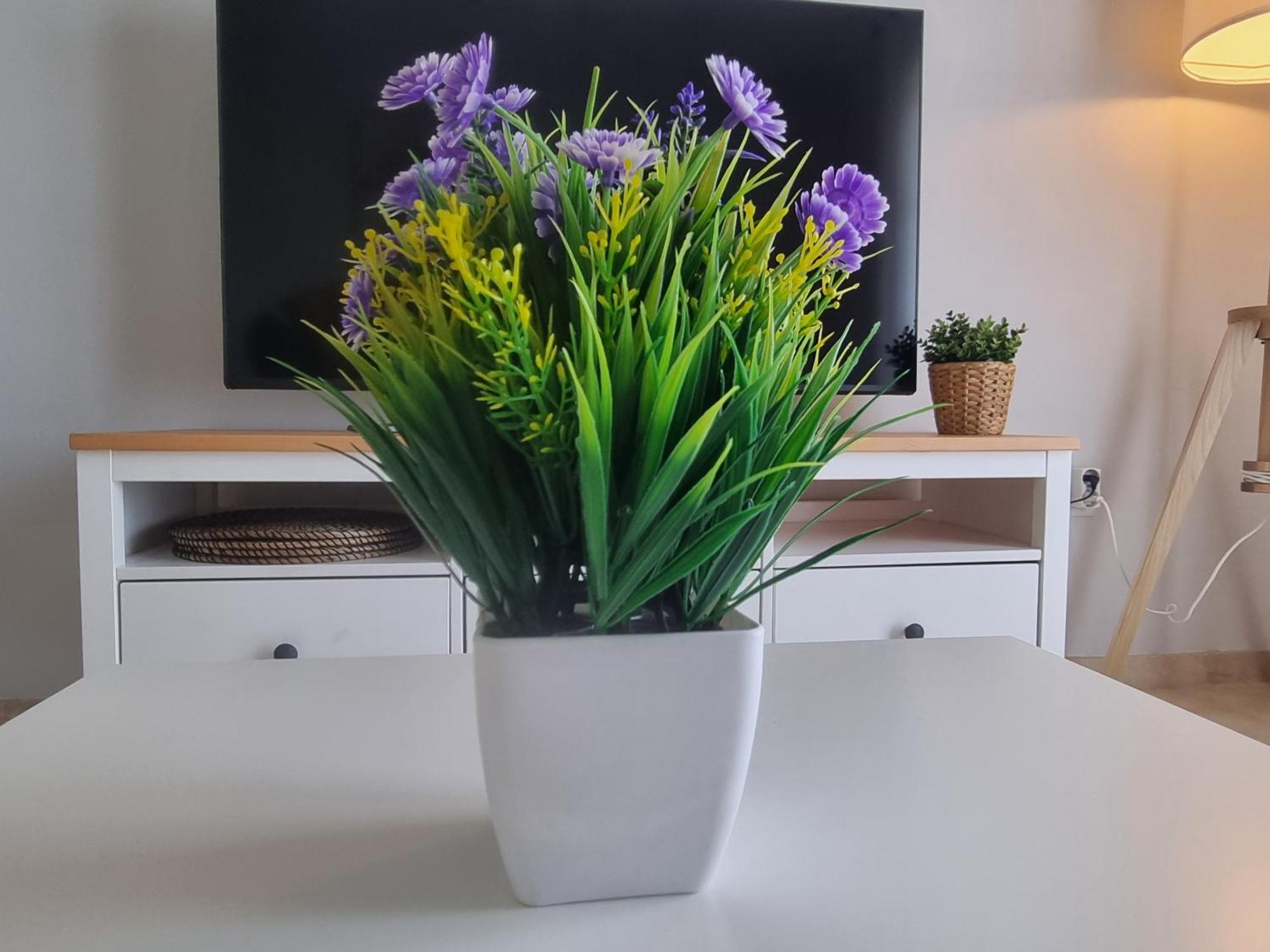 Apartamento Centro Y Playa 토레몰리노스 외부 사진